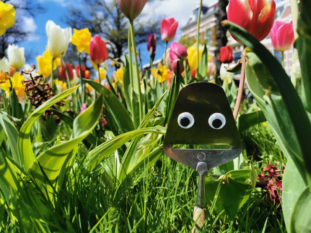 Our cheese slicer with googly eyes mascots with tulips