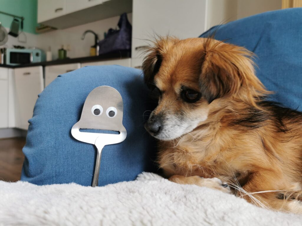 Pixie with our cheese slicer with googly eyes mascots