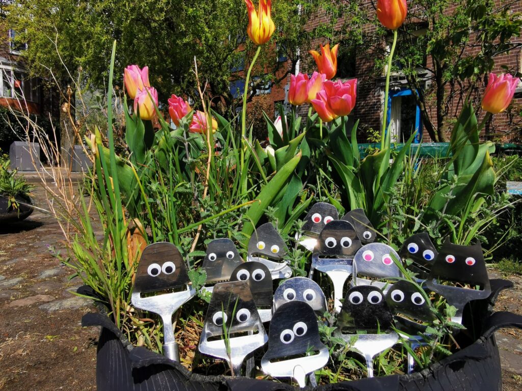 Our cheese slicer with googly eyes mascots in a tulip planter