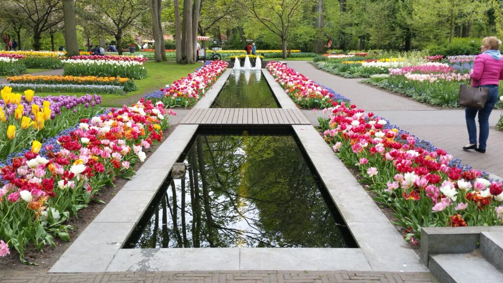 Pond and flowers at Keukenhof Gardens on a Private Keukenhof Tulip Tour