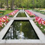 Pond and flowers at Keukenhof Gardens