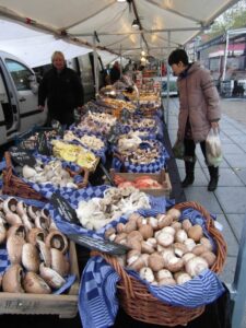 Mushrooms at the Saturday Amsterdam farmers Market on the Nieuwmarkt