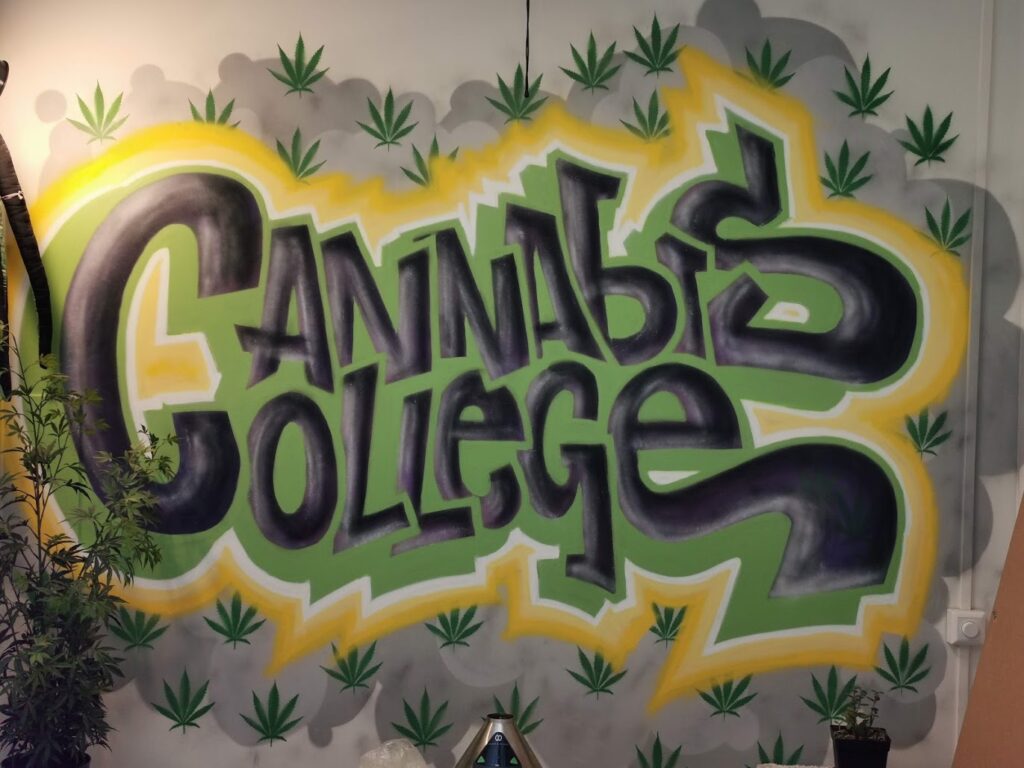 Wall painting in street art style fomr the Cannabis College