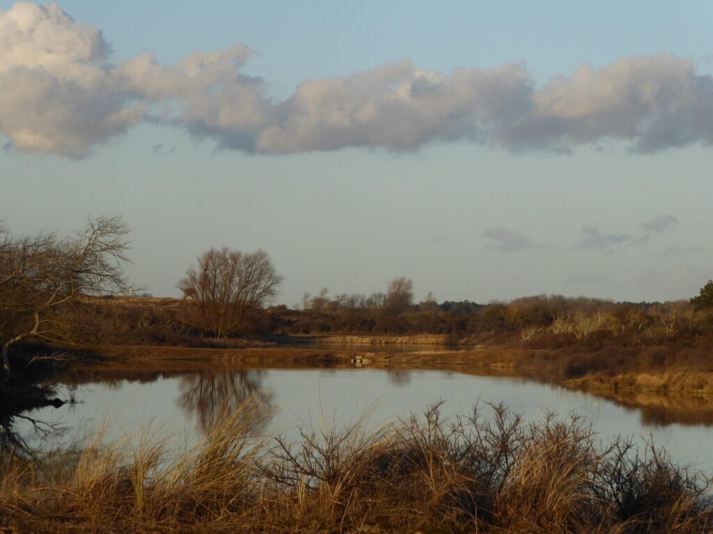 The Waterleidingduinen where Amsterdam's driking water comes from