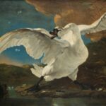 The Angry Swan on a Private Rijksmuseum Tour