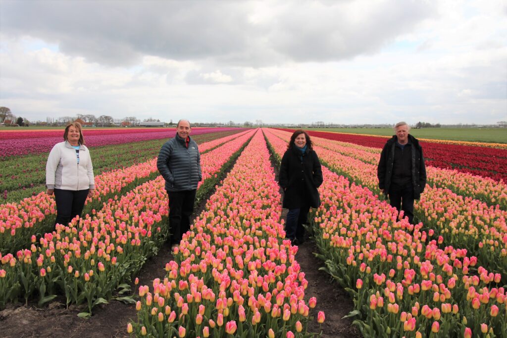 People standing amongthe tulips on a Private Keukenhof Tulip Tour