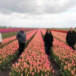 4 friends standing among the tulips on a Private Keukenhof Tulip Tour