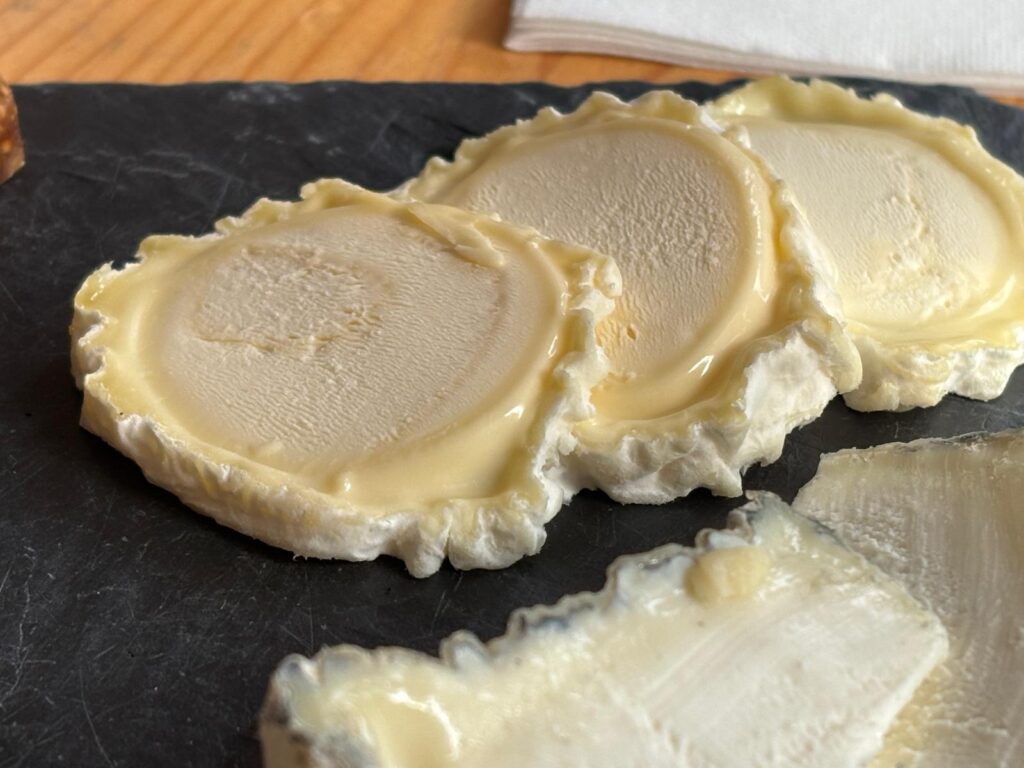 Paolke cheese closeup
