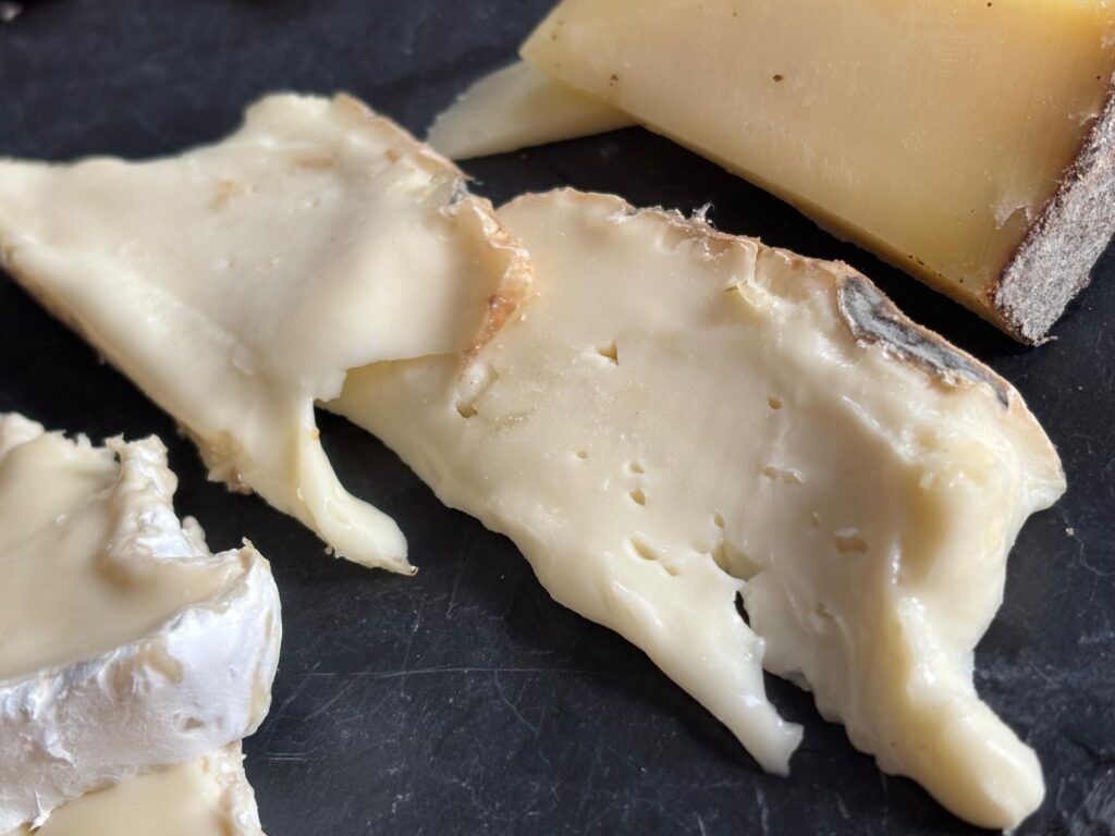 Slices of cheese washed rind cheese - Taleggio