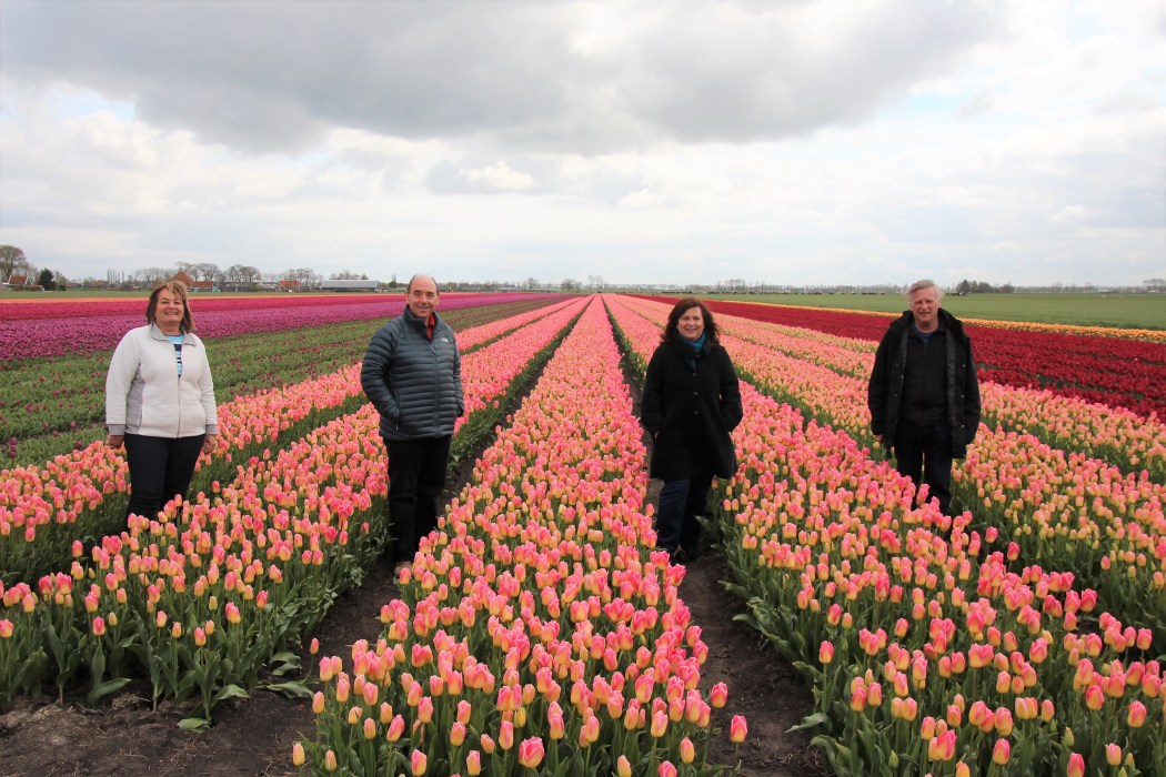 Keukenhof Tulip Tours from Amsterdam in 2024 | That Dam Guide